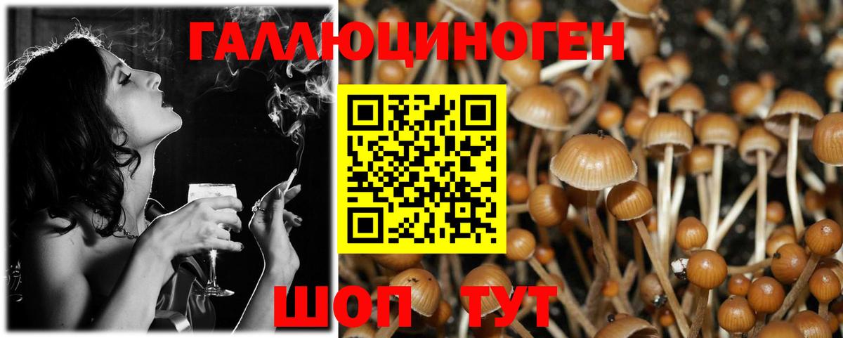Галлюциногенные грибы GOLDEN TEACHER Елец
